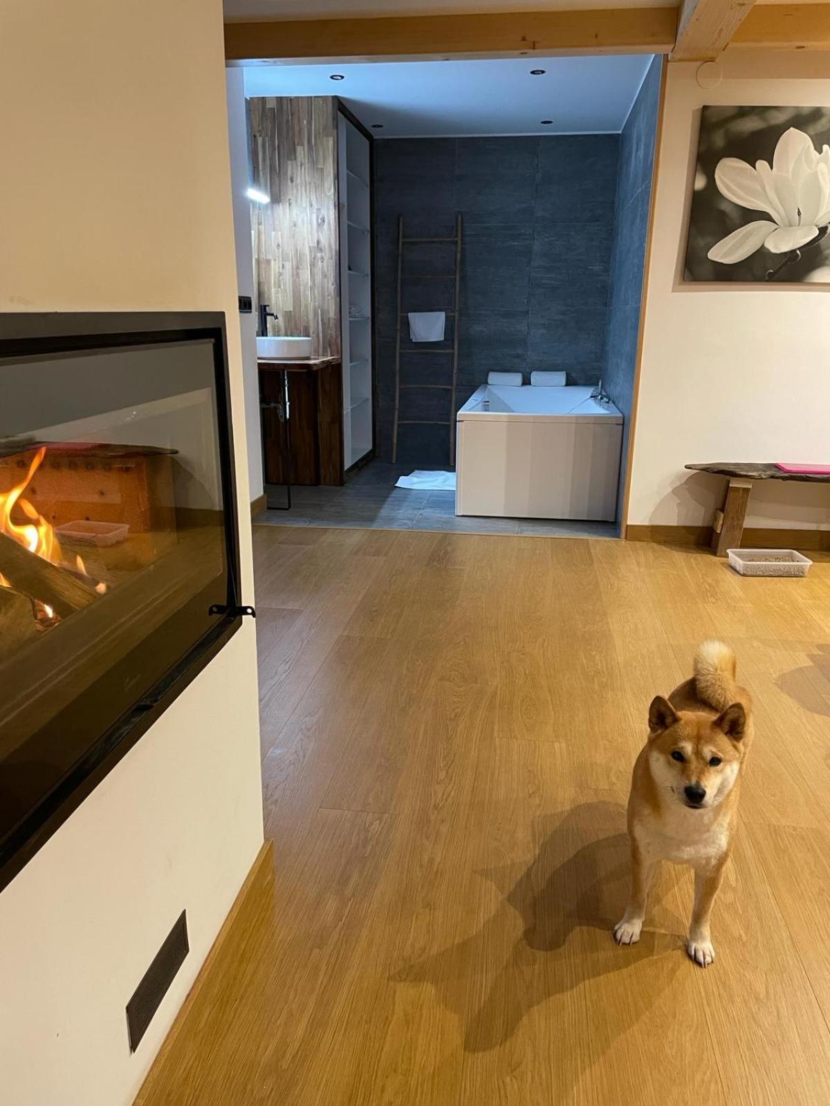 Casa Angiz Etxea Apartment Sumbilla Ngoại thất bức ảnh